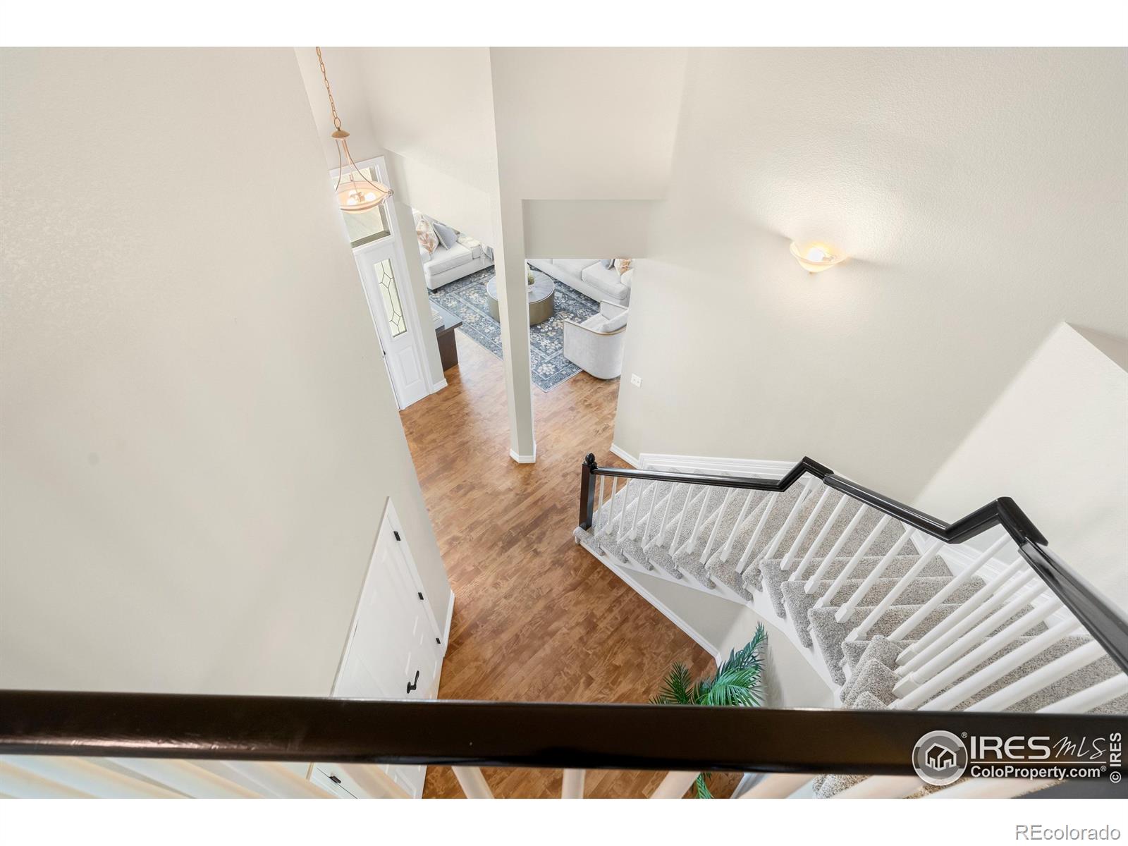 MLS Image #20 for 7270  irwin court,fort collins, Colorado