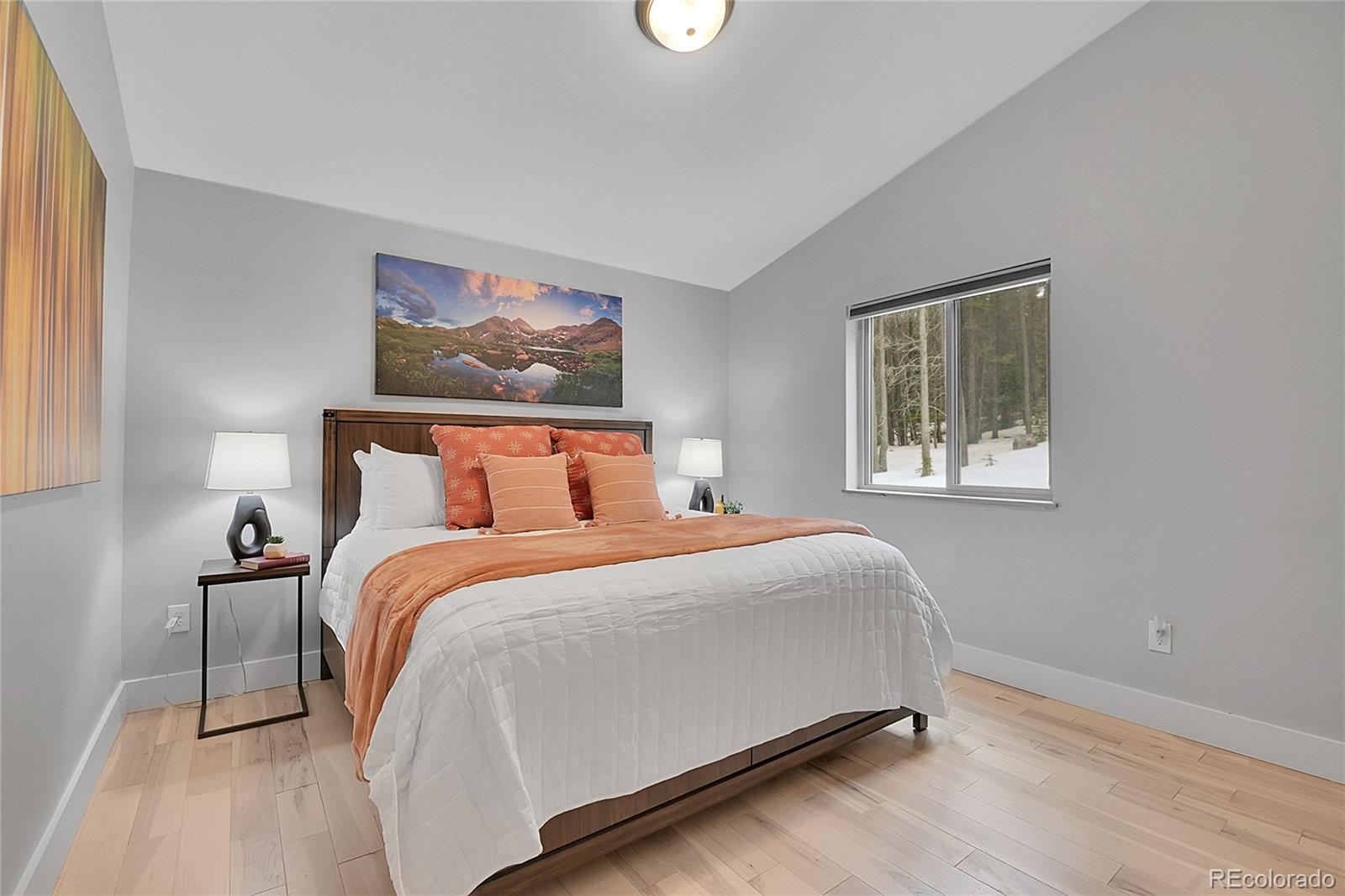 MLS Image #14 for 79  beaver road,idaho springs, Colorado