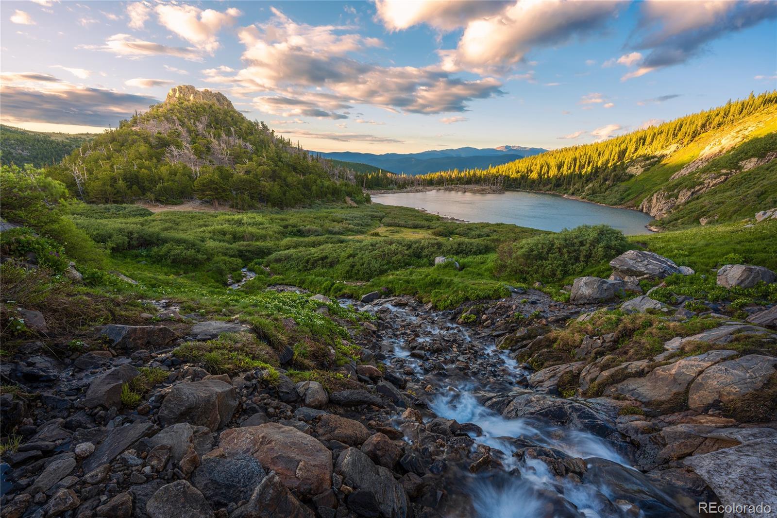 MLS Image #22 for 79  beaver road,idaho springs, Colorado