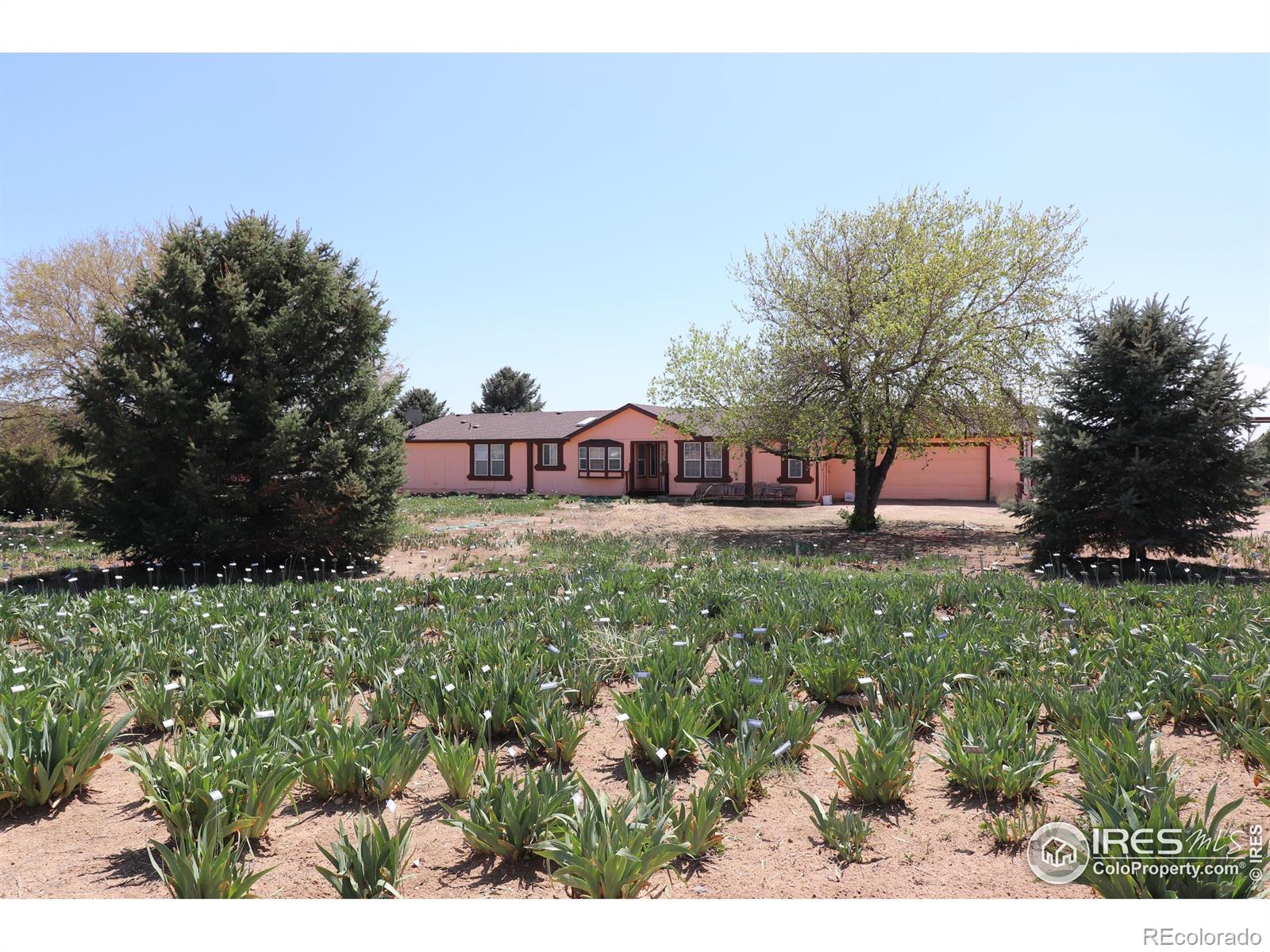 MLS Image #1 for 20524  county road 76 ,eaton, Colorado