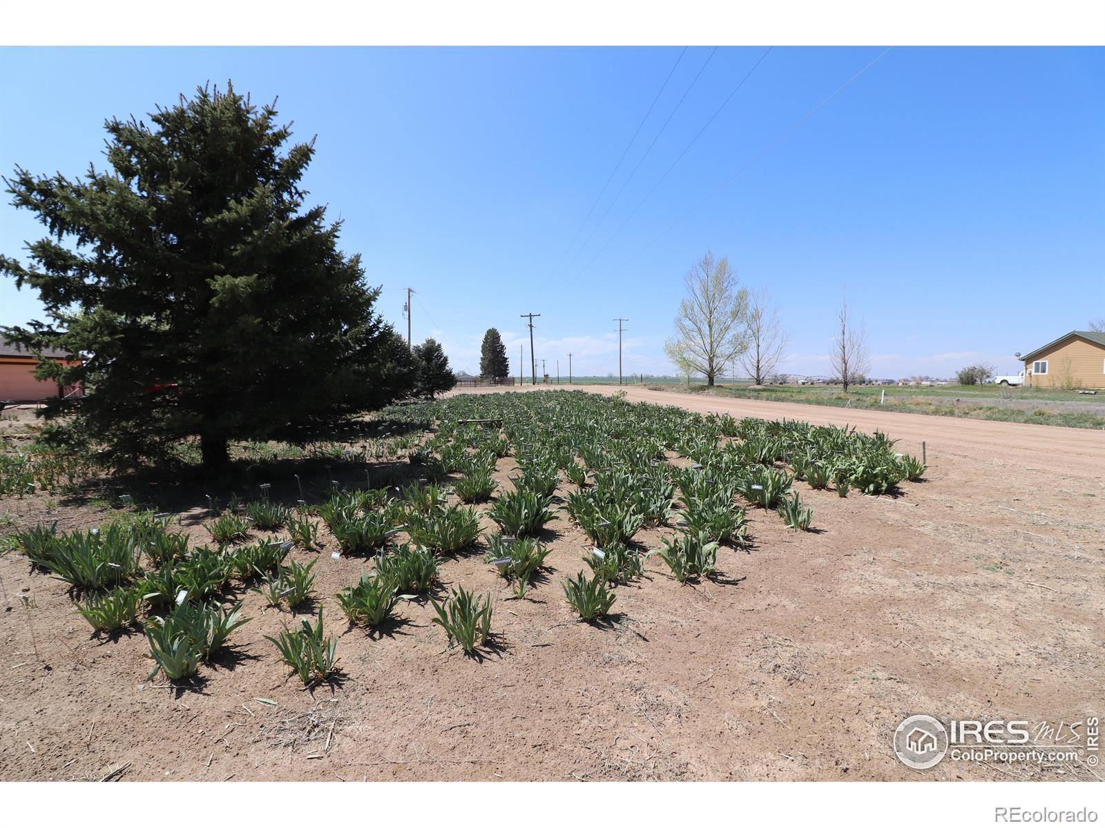 MLS Image #2 for 20524  county road 76 ,eaton, Colorado