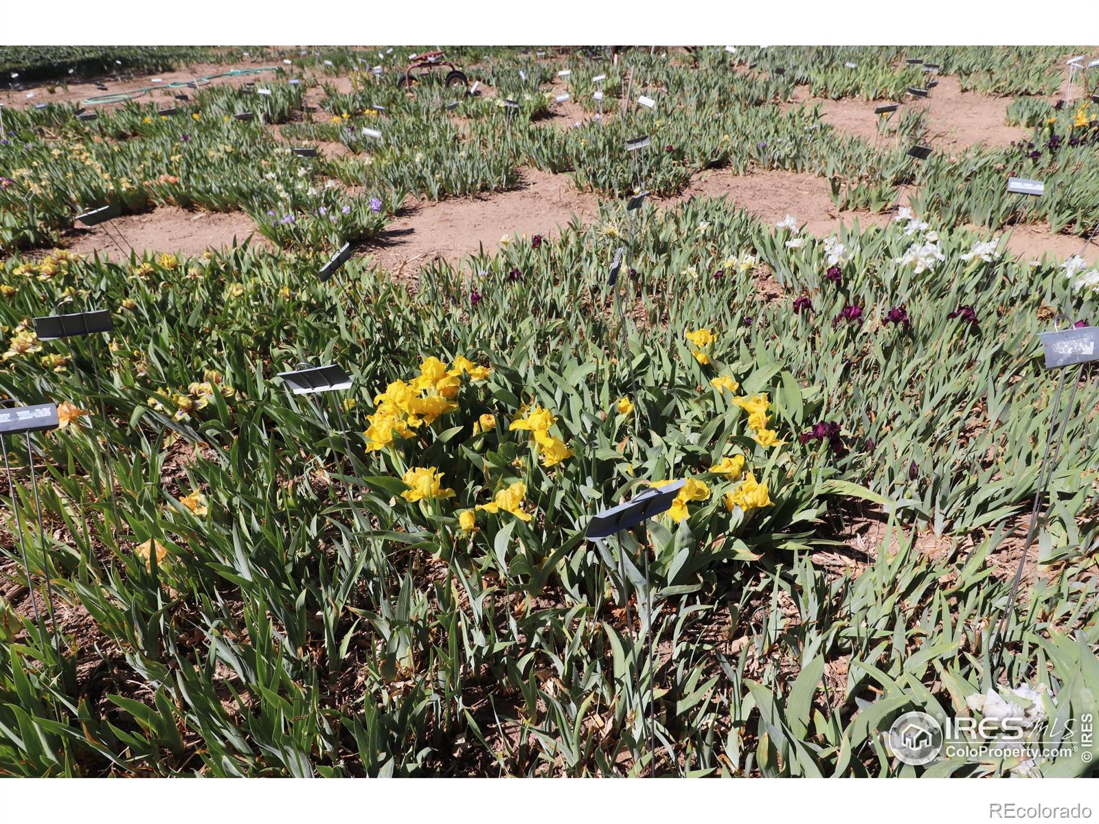 MLS Image #29 for 20524  county road 76 ,eaton, Colorado