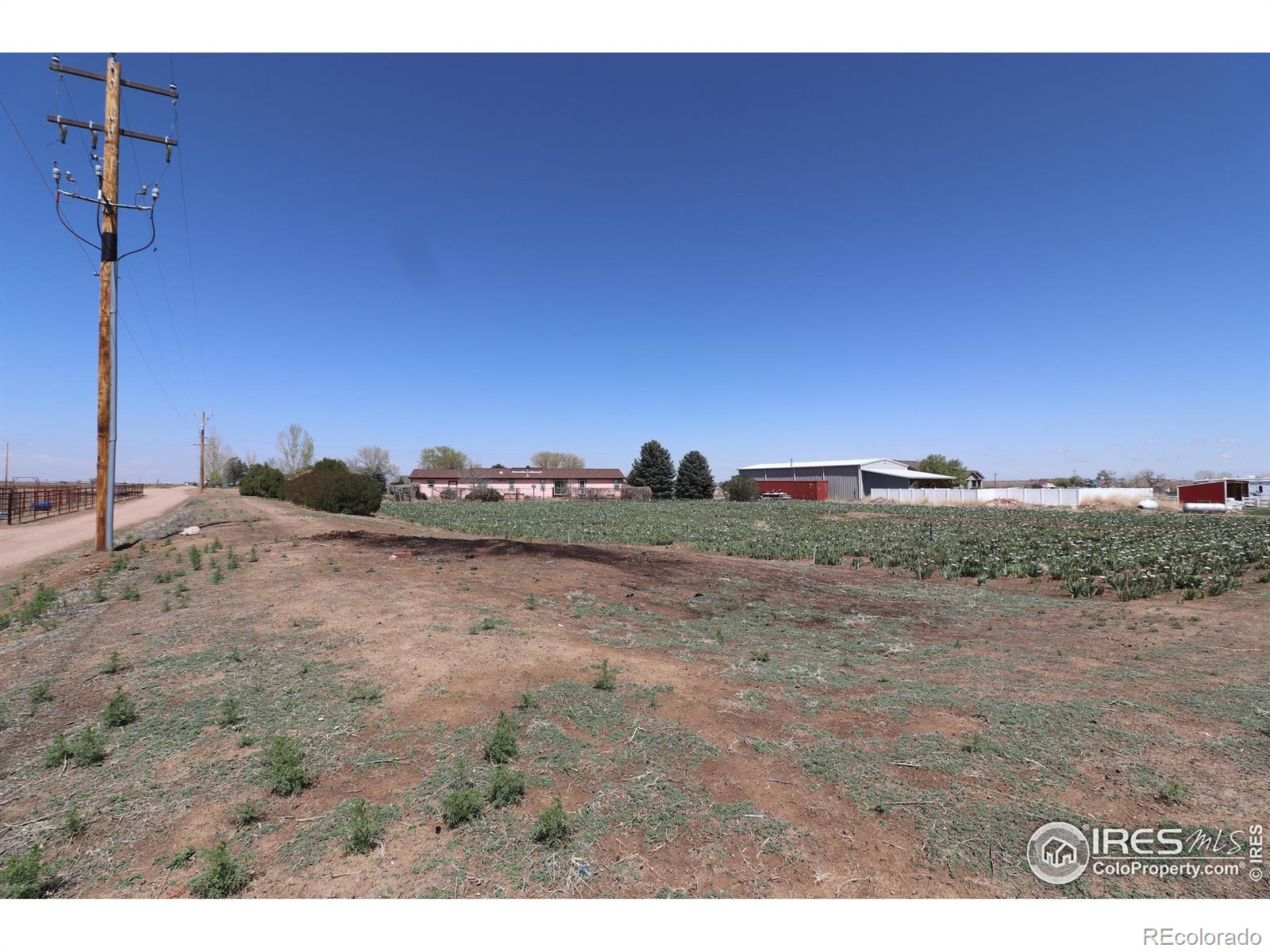 MLS Image #3 for 20524  county road 76 ,eaton, Colorado
