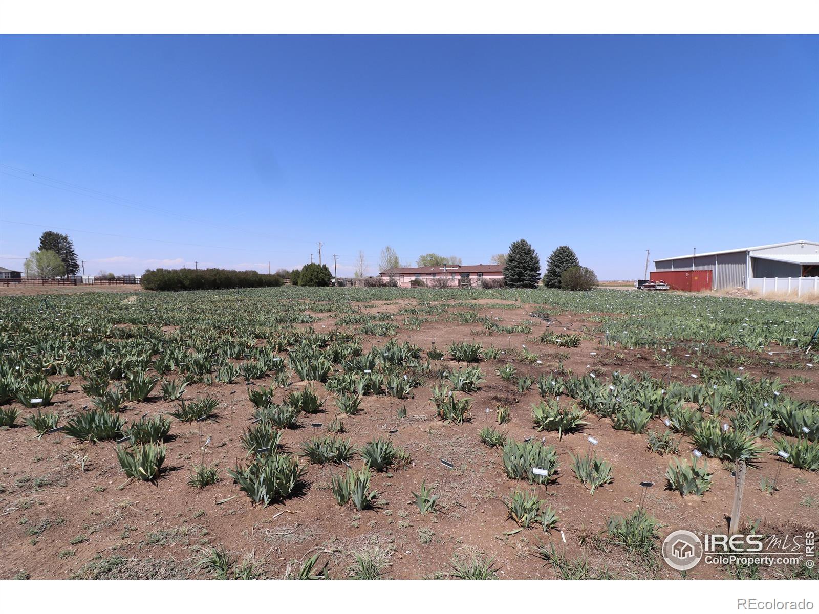 MLS Image #4 for 20524  county road 76 ,eaton, Colorado