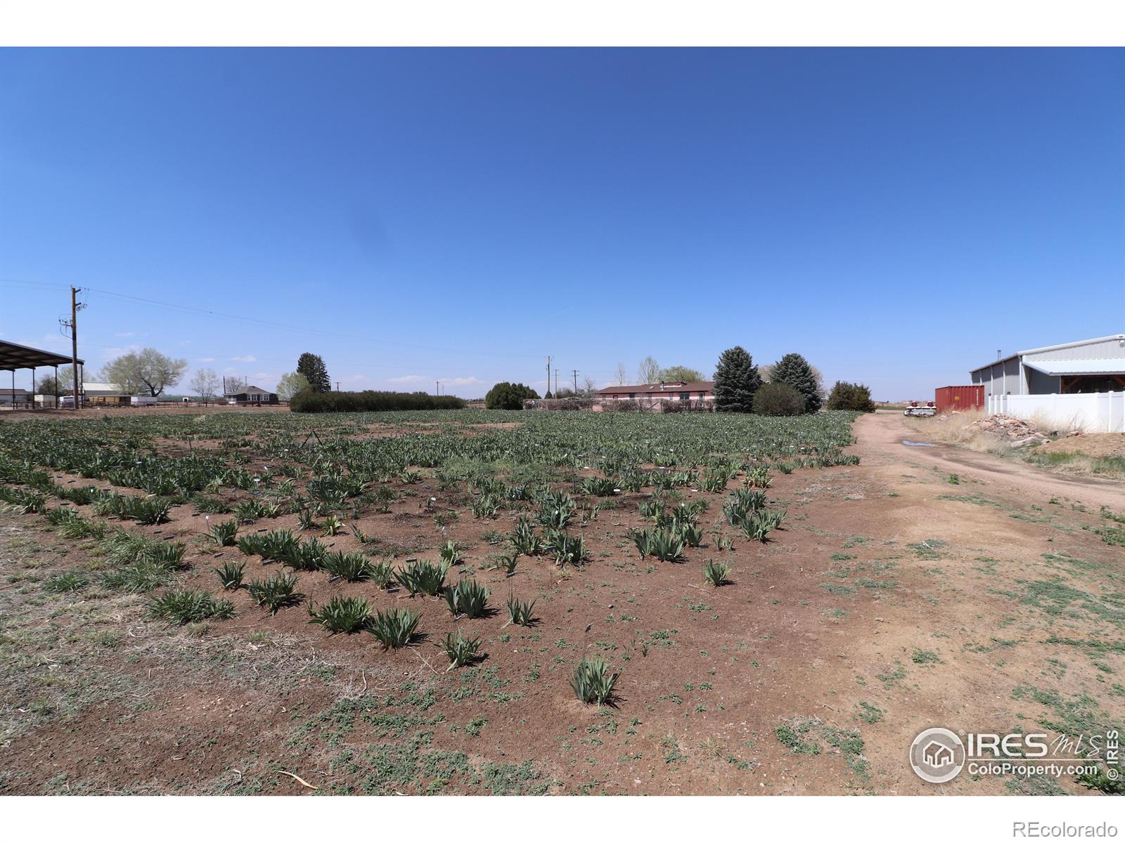MLS Image #5 for 20524  county road 76 ,eaton, Colorado