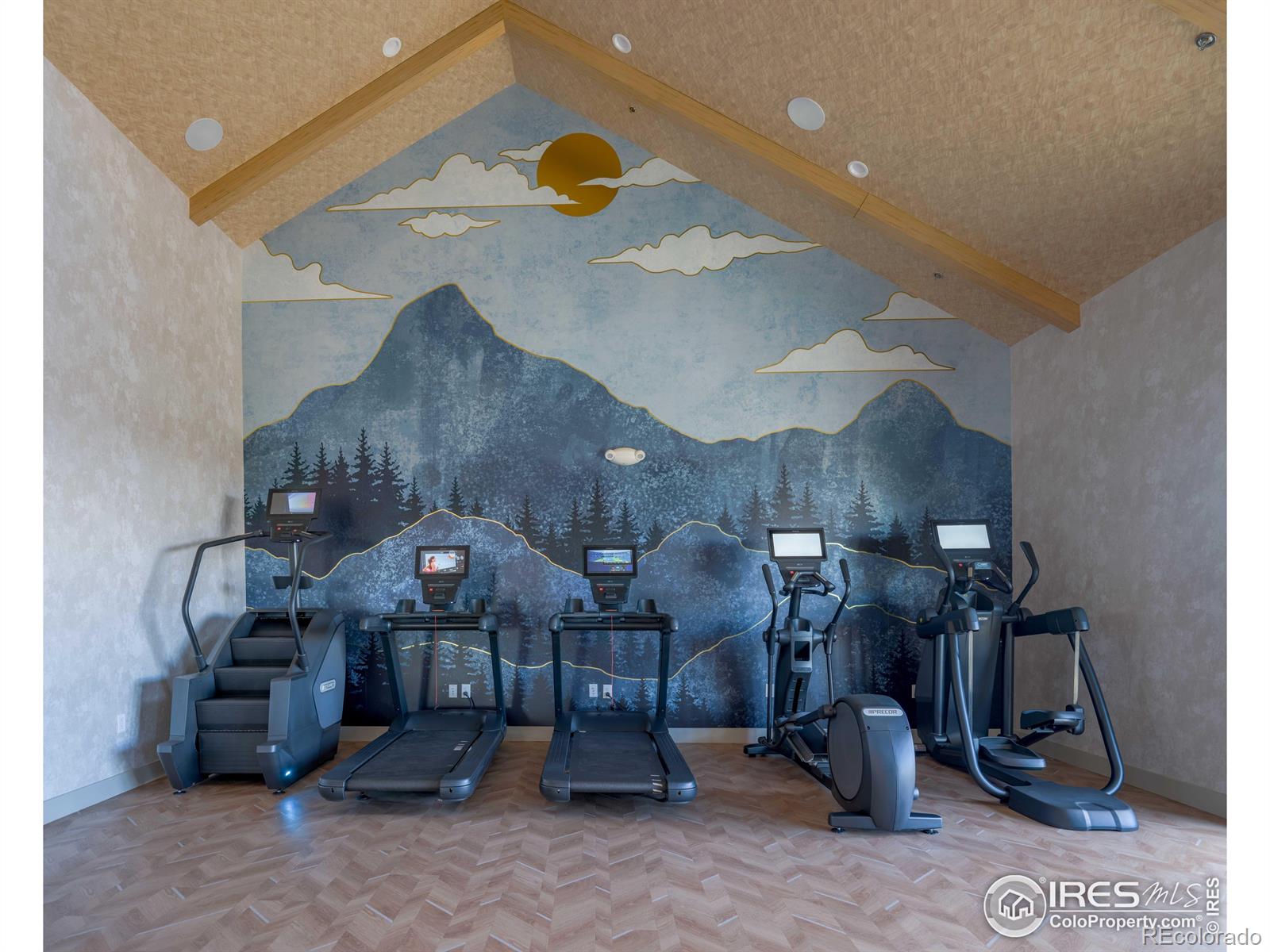 MLS Image #28 for 1581  poplar drive,erie, Colorado
