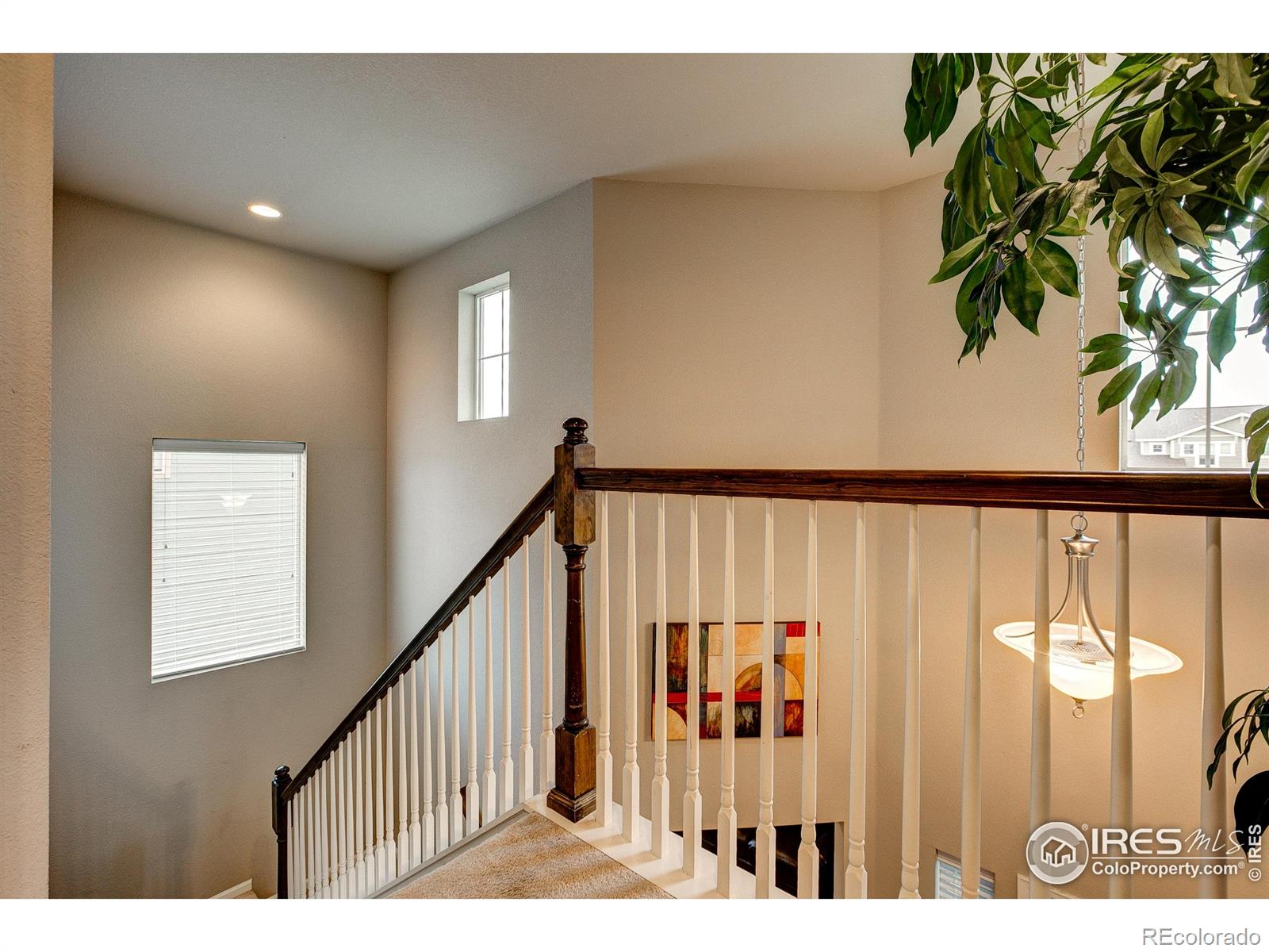 MLS Image #21 for 5128  odessa lake street,timnath, Colorado
