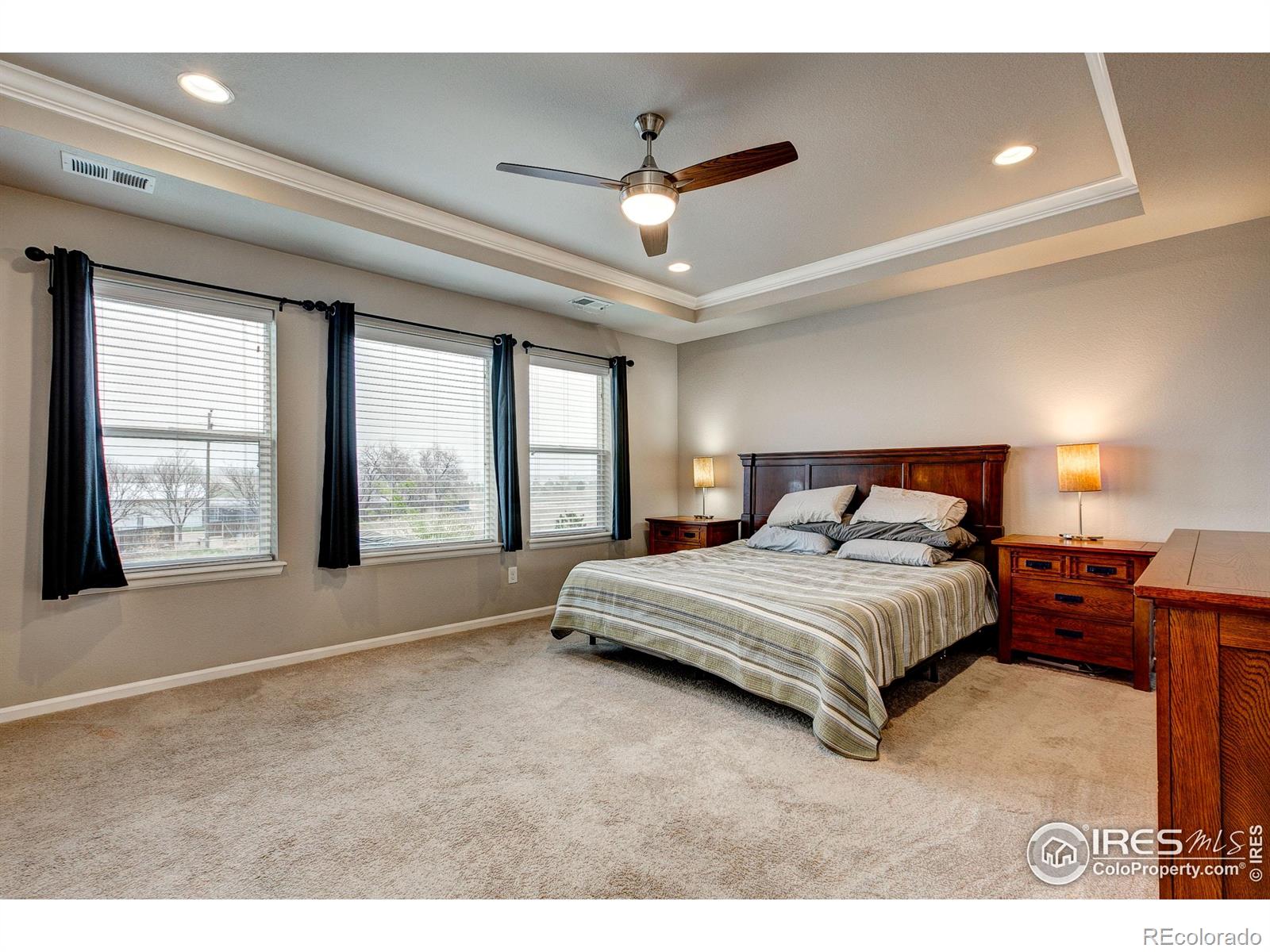 MLS Image #22 for 5128  odessa lake street,timnath, Colorado
