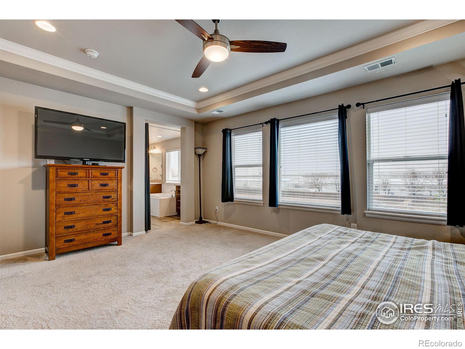 MLS Image #23 for 5128  odessa lake street,timnath, Colorado