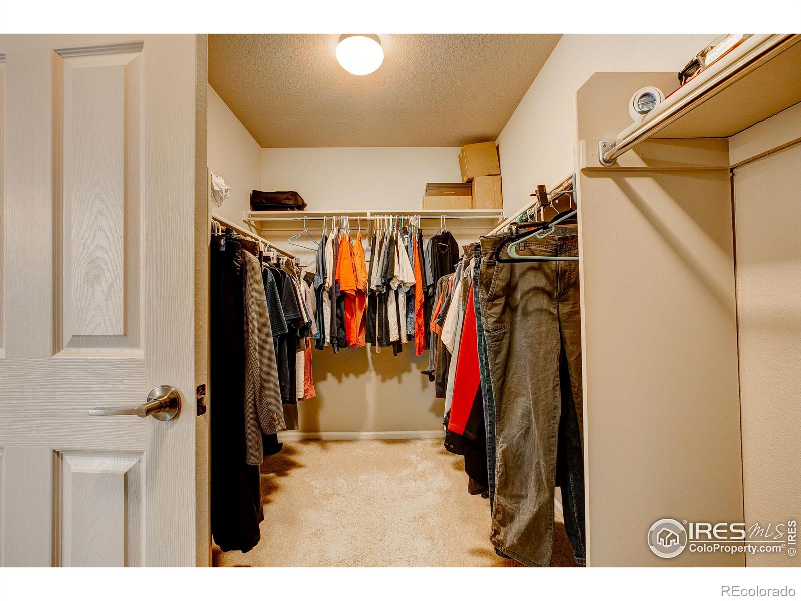 MLS Image #26 for 5128  odessa lake street,timnath, Colorado