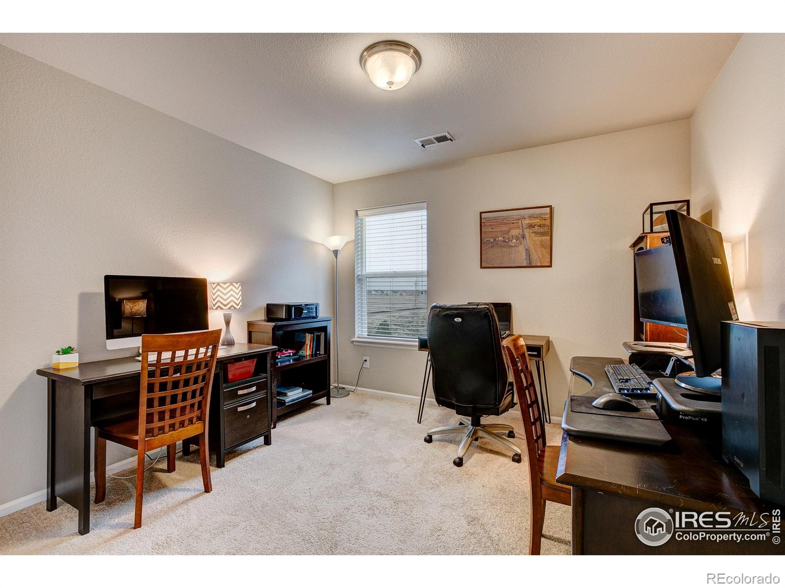 MLS Image #29 for 5128  odessa lake street,timnath, Colorado