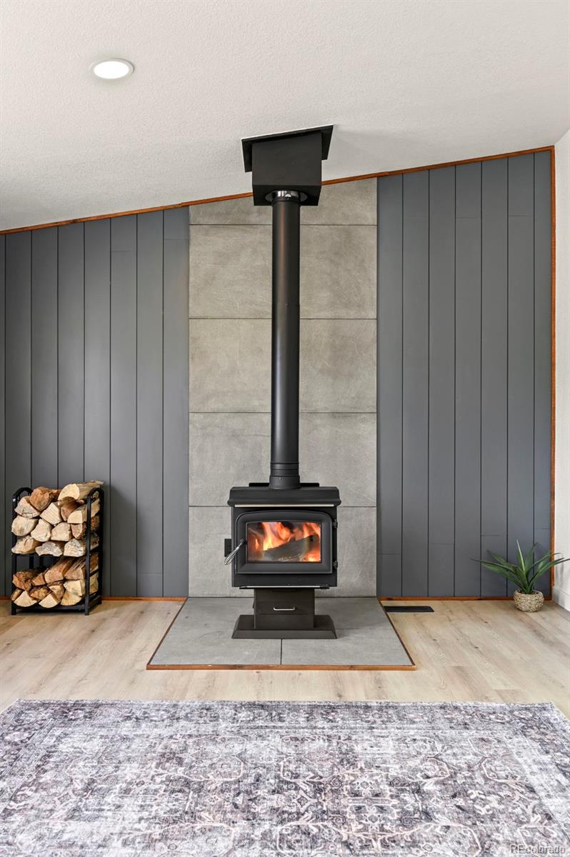 MLS Image #11 for 109  forge drive,florissant, Colorado