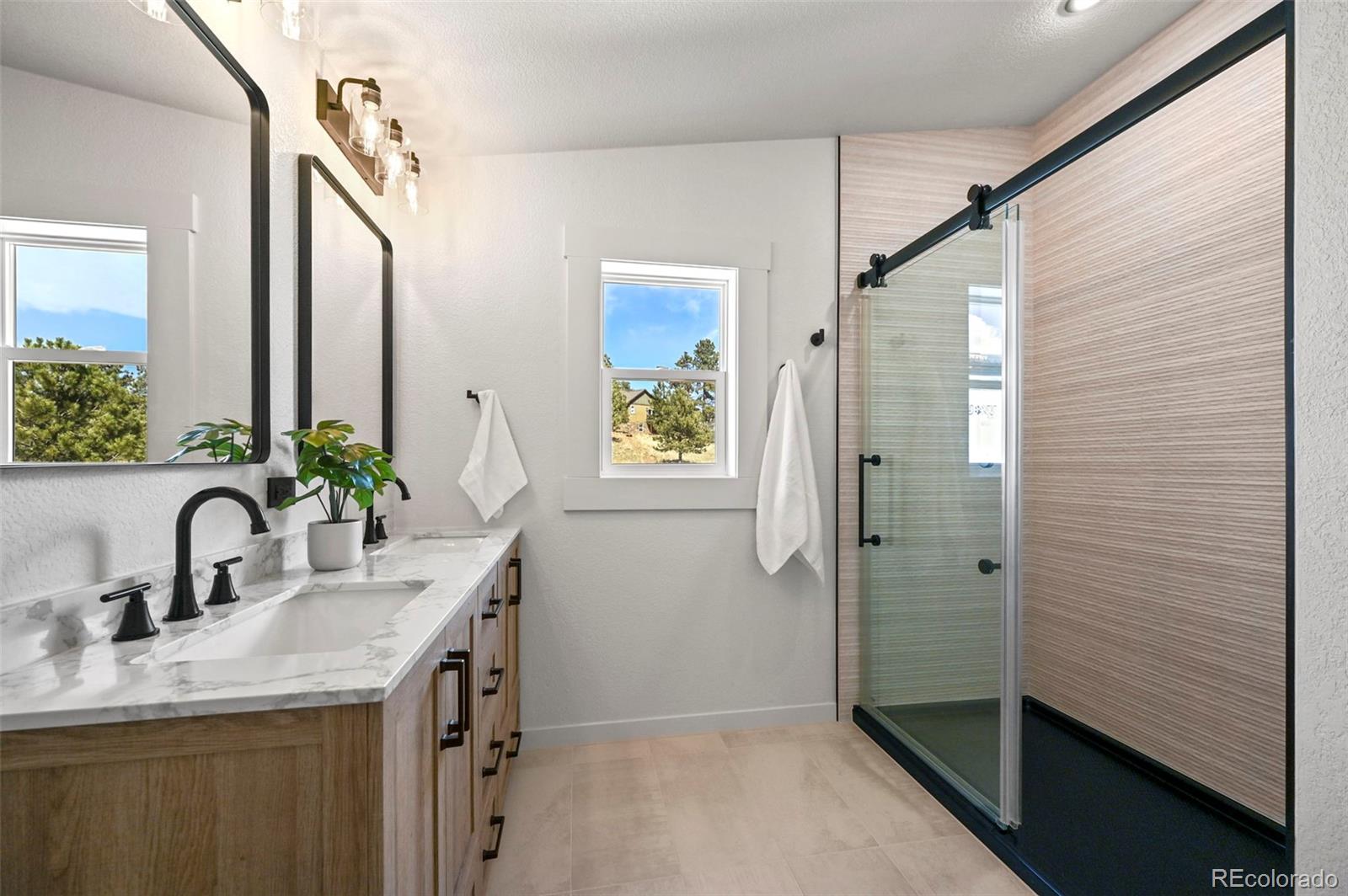 MLS Image #16 for 109  forge drive,florissant, Colorado
