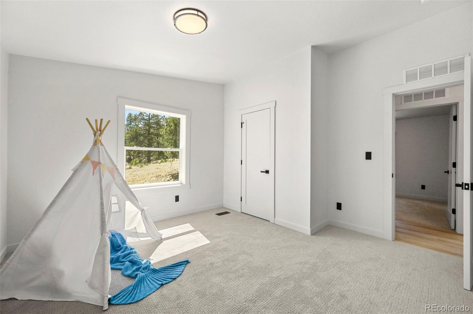 MLS Image #17 for 109  forge drive,florissant, Colorado