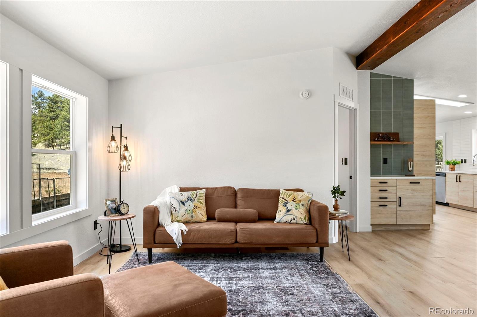 MLS Image #2 for 109  forge drive,florissant, Colorado