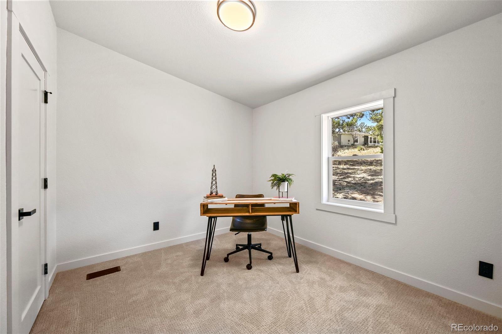 MLS Image #20 for 109  forge drive,florissant, Colorado