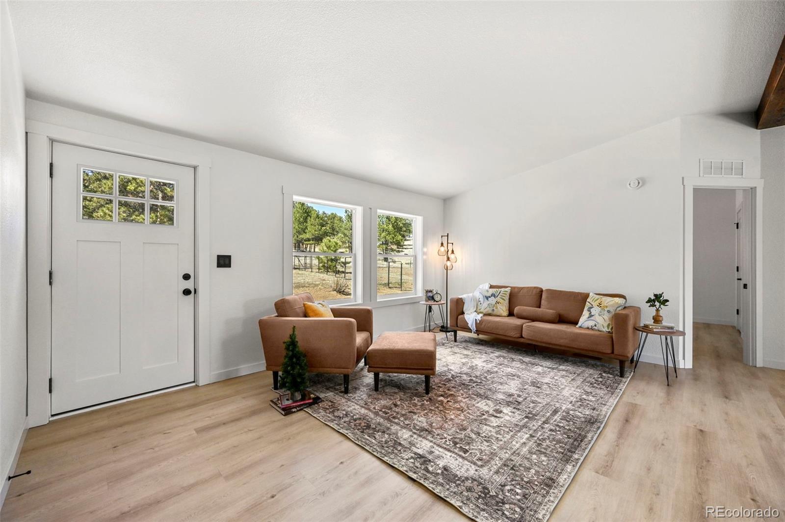 MLS Image #3 for 109  forge drive,florissant, Colorado