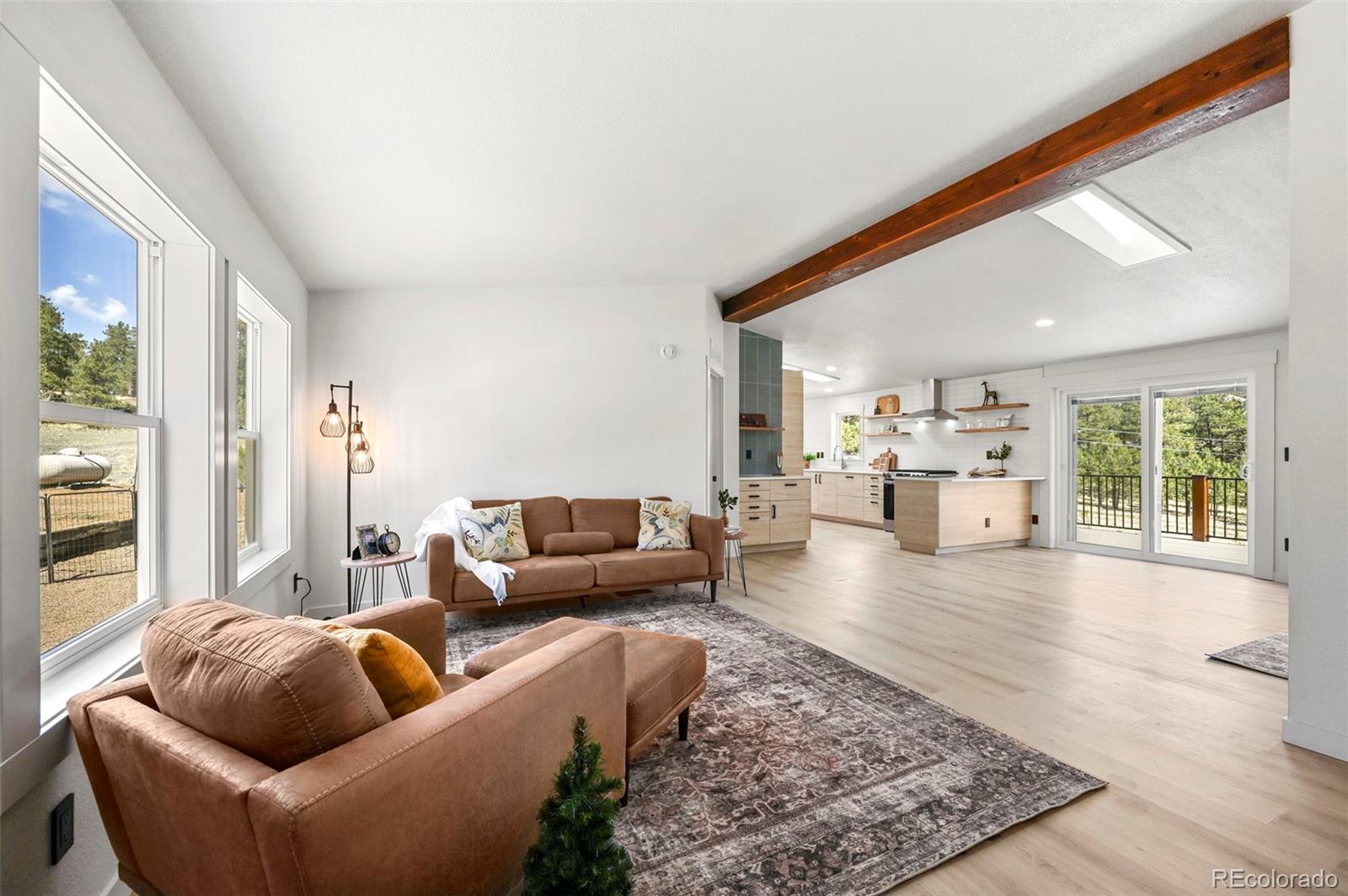 MLS Image #4 for 109  forge drive,florissant, Colorado