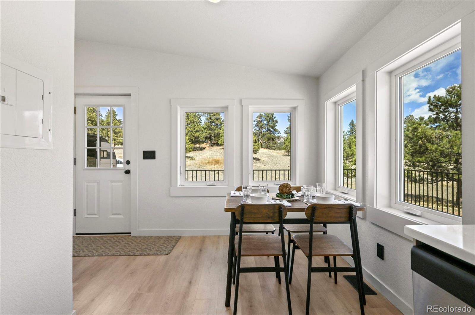 MLS Image #9 for 109  forge drive,florissant, Colorado