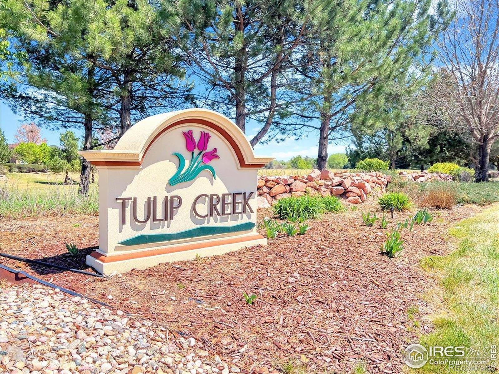 MLS Image #32 for 611  callisto drive,loveland, Colorado
