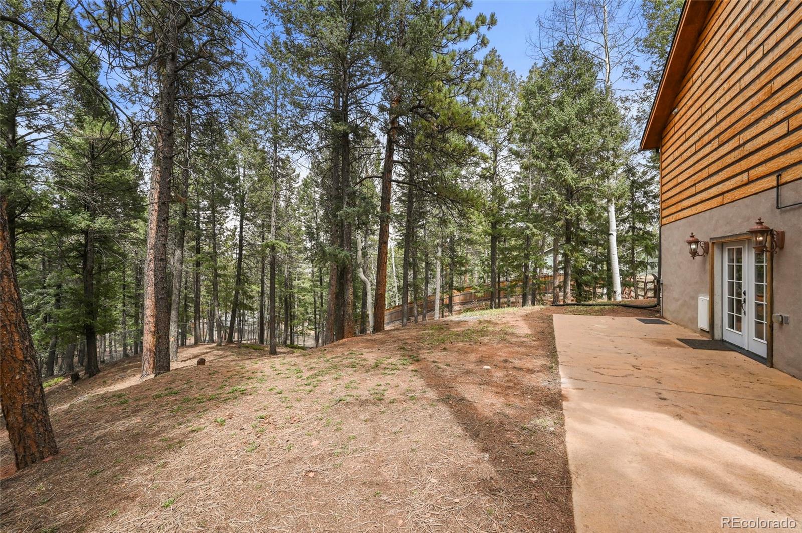 MLS Image #39 for 1300 w midland avenue,woodland park, Colorado