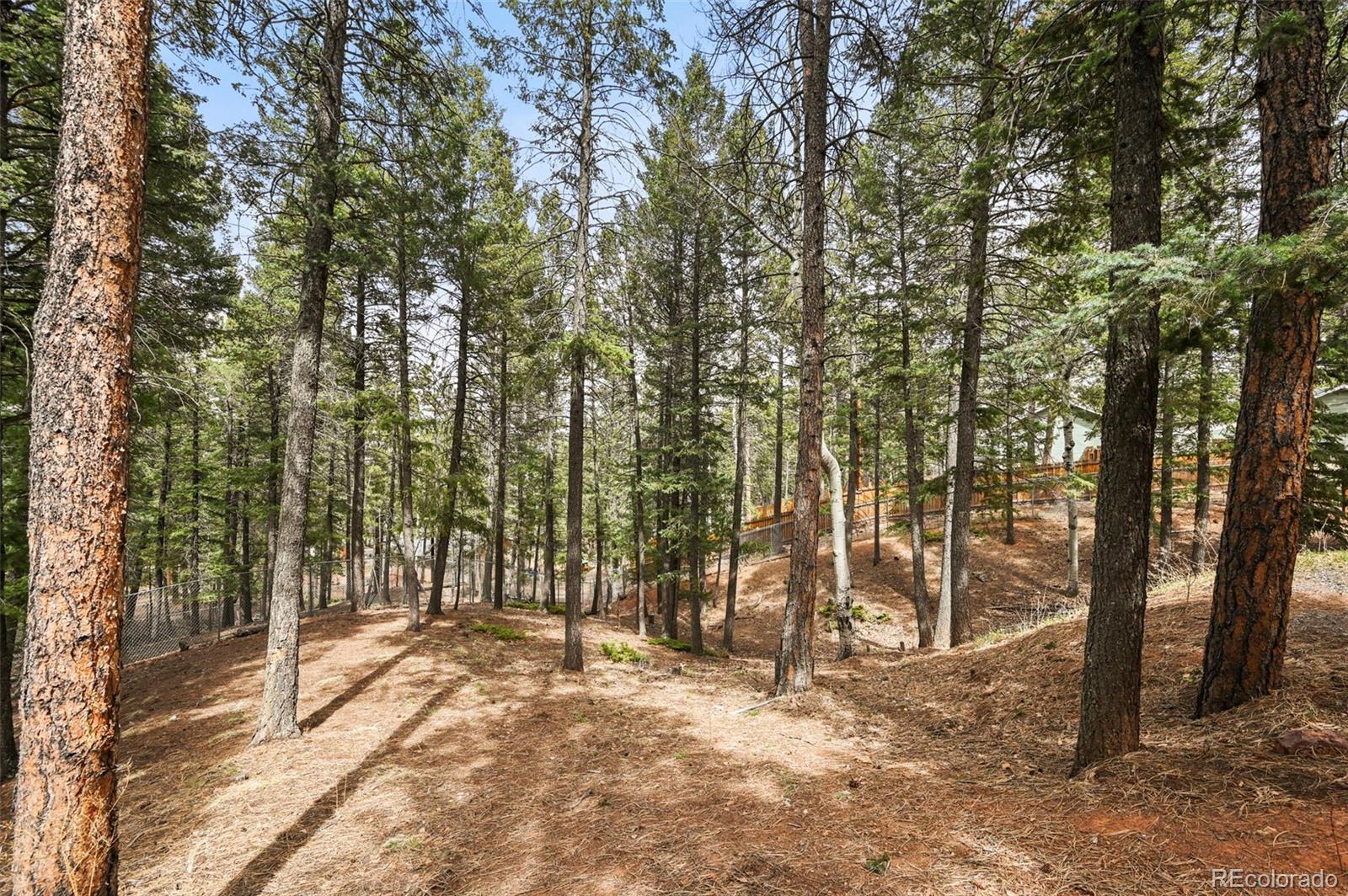MLS Image #41 for 1300 w midland avenue,woodland park, Colorado