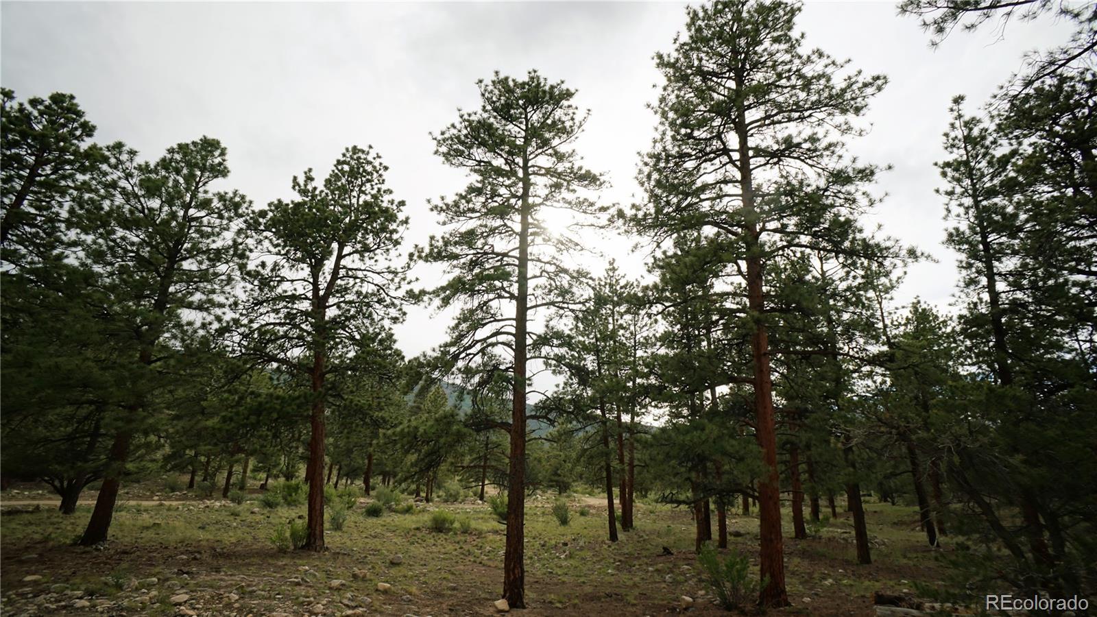 MLS Image #43 for 18095  camino del norte ,buena vista, Colorado