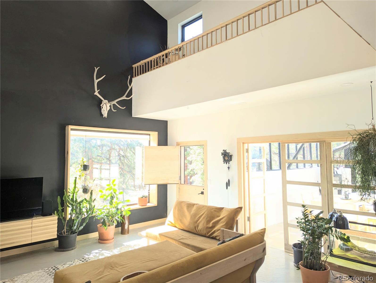 MLS Image #6 for 18095  camino del norte ,buena vista, Colorado