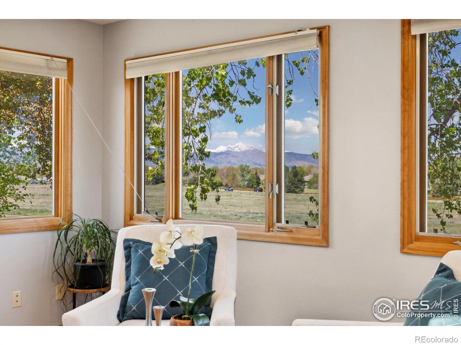 MLS Image #14 for 1309  alexandria street,lafayette, Colorado