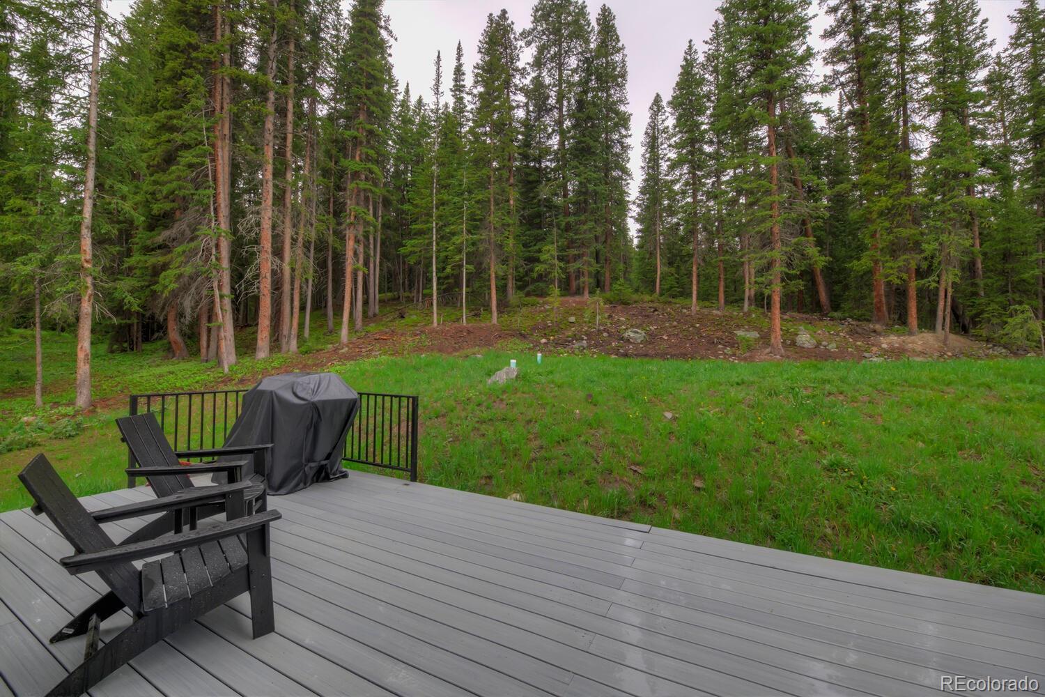 MLS Image #3 for 563  cr 672 ,breckenridge, Colorado