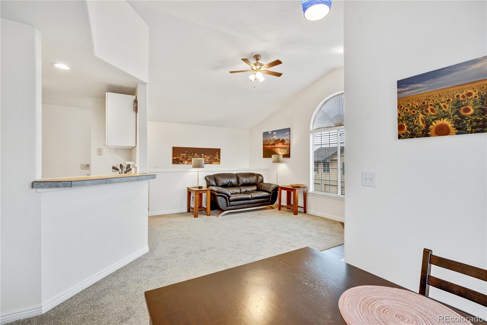 MLS Image #9 for 8757 e dry creek road 1528,englewood, Colorado
