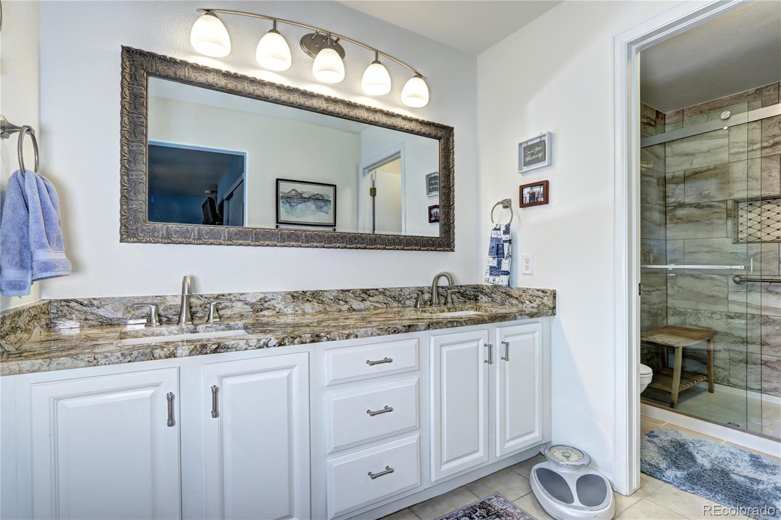 MLS Image #16 for 10554  tracewood circle,highlands ranch, Colorado
