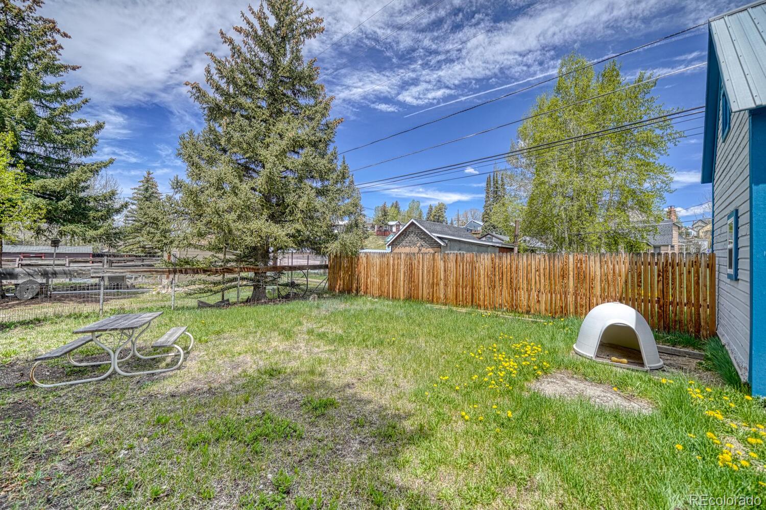 MLS Image #33 for 212 w 6th street,leadville, Colorado
