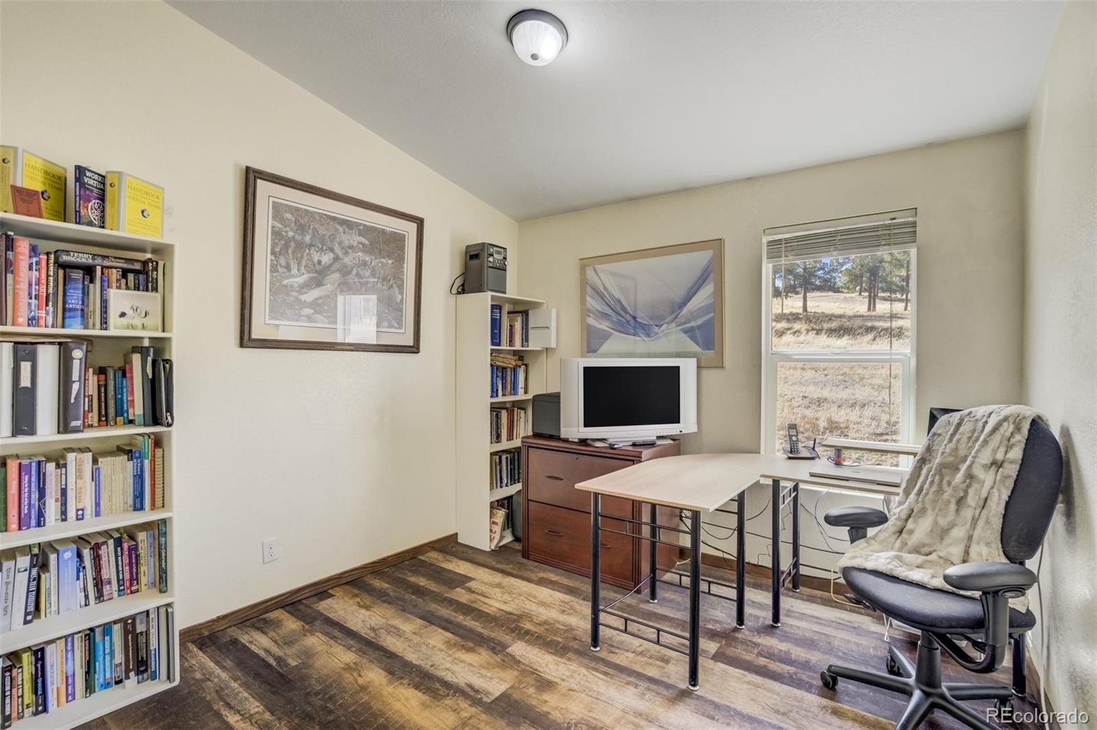 MLS Image #14 for 464  hackamore drive,florissant, Colorado