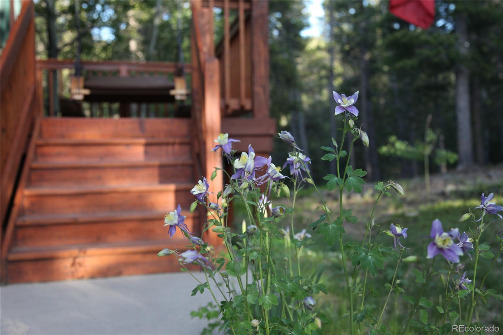 MLS Image #31 for 398  mountain view drive,black hawk, Colorado