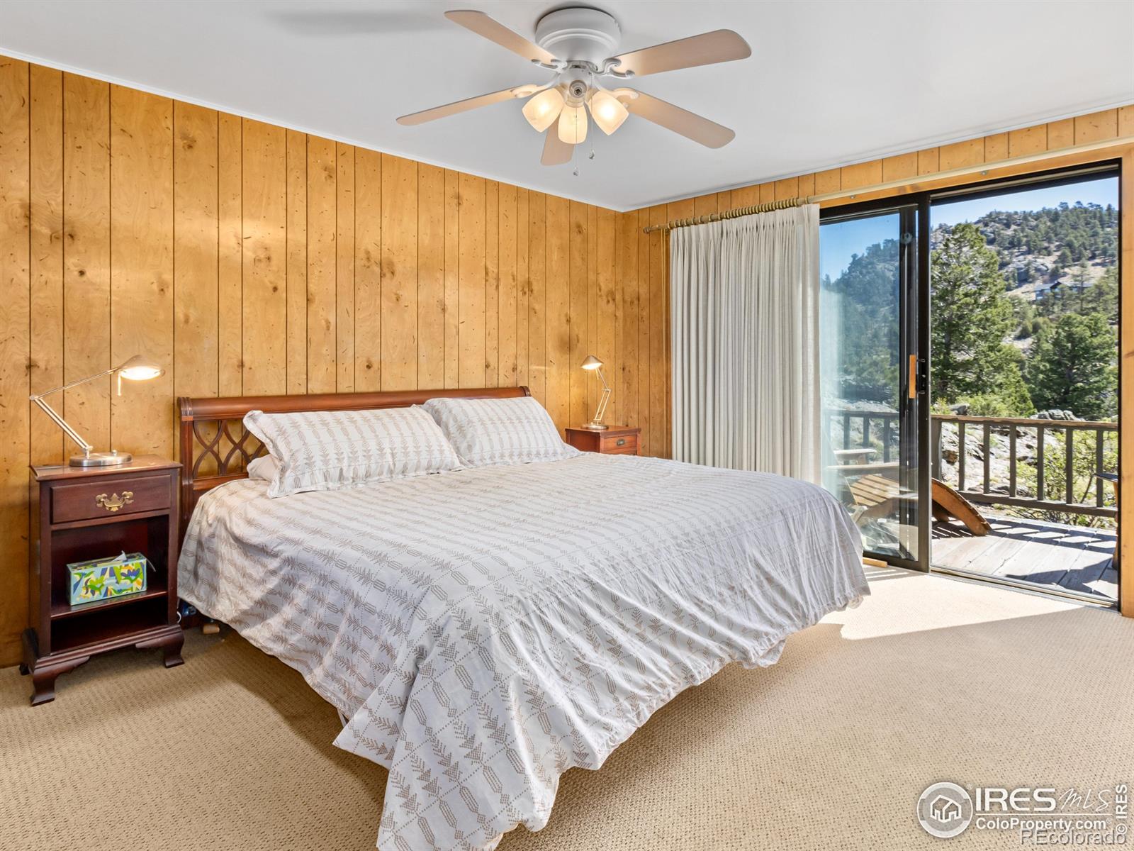MLS Image #15 for 1252  giant track road,estes park, Colorado