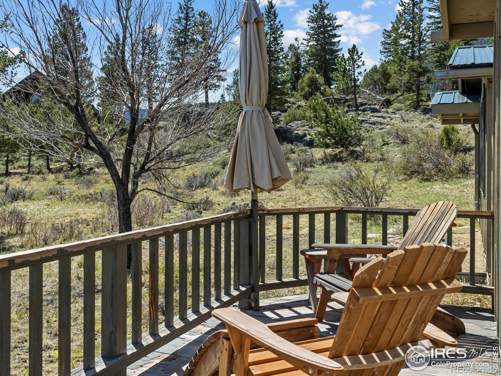 MLS Image #16 for 1252  giant track road,estes park, Colorado