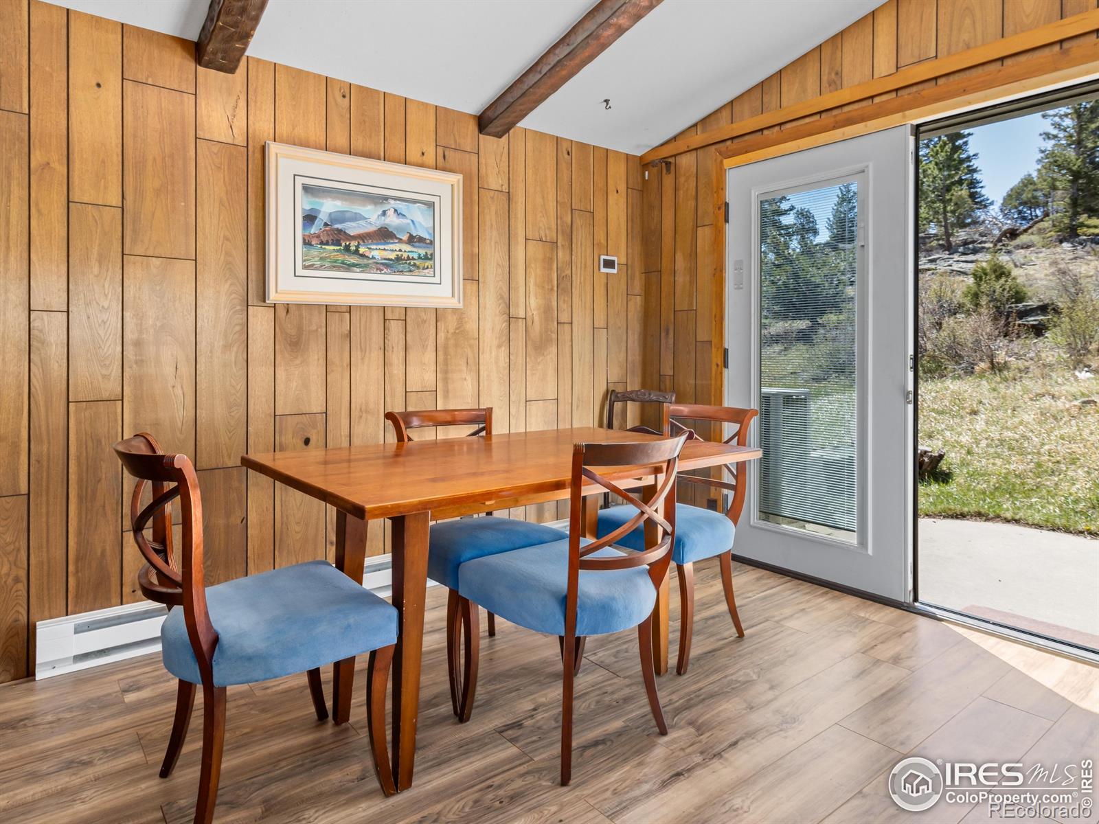 MLS Image #7 for 1252  giant track road,estes park, Colorado