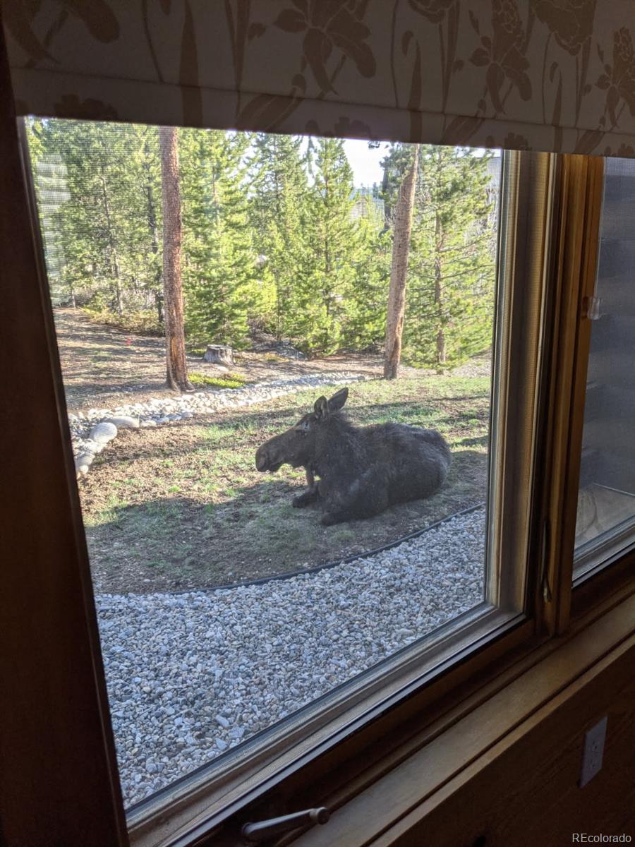 MLS Image #22 for 114  gcr 4624 ,grand lake, Colorado