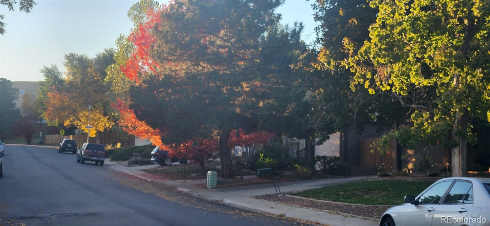 MLS Image #16 for 12682 w louisiana avenue,lakewood, Colorado