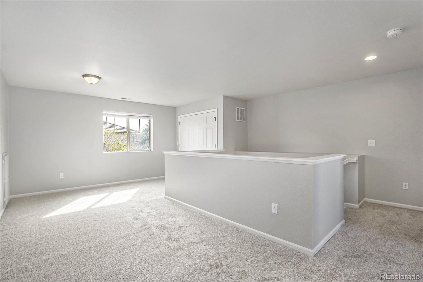 MLS Image #18 for 4873  cathay court,denver, Colorado