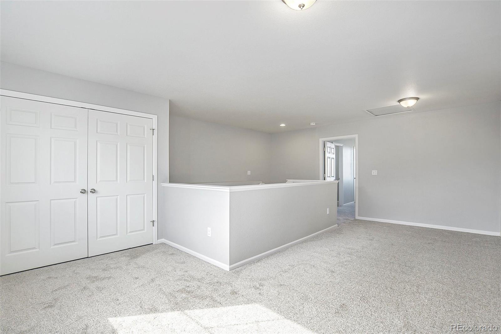 MLS Image #19 for 4873  cathay court,denver, Colorado