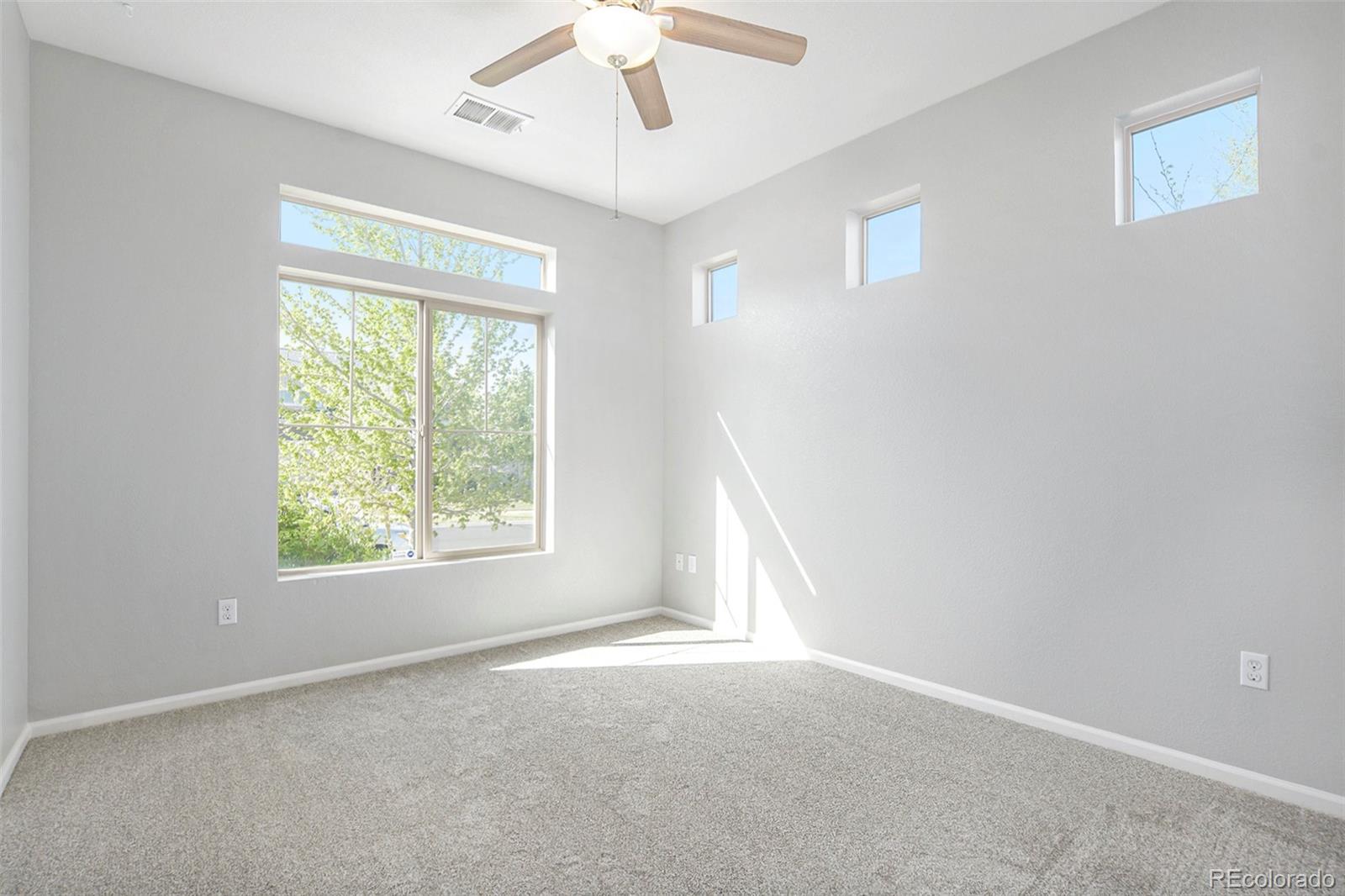 MLS Image #4 for 4873  cathay court,denver, Colorado