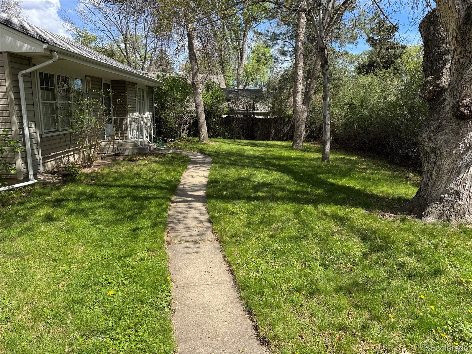 MLS Image #19 for 1950  glen shiel drive,lakewood, Colorado