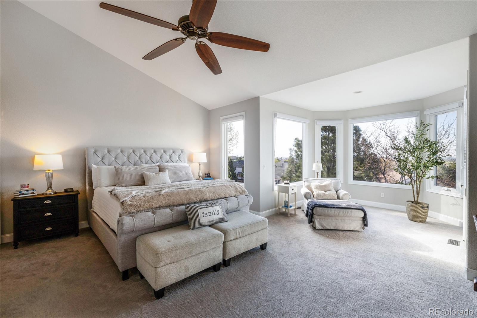 MLS Image #12 for 6155  puma point,lone tree, Colorado