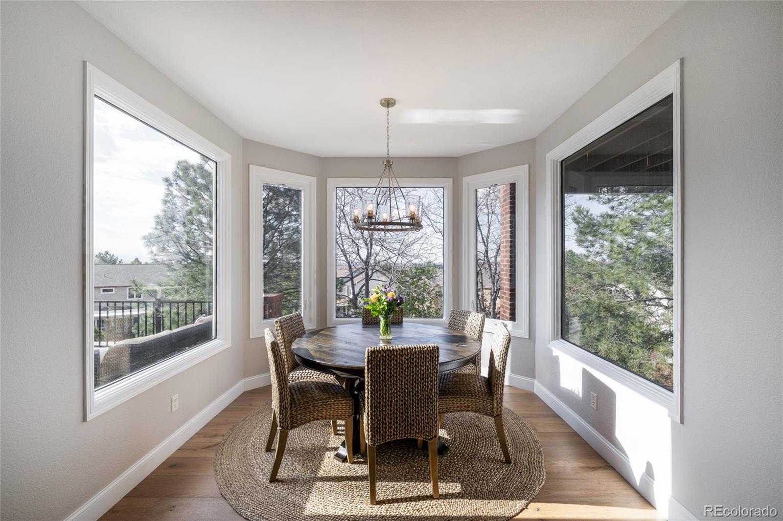 MLS Image #6 for 6155  puma point,lone tree, Colorado
