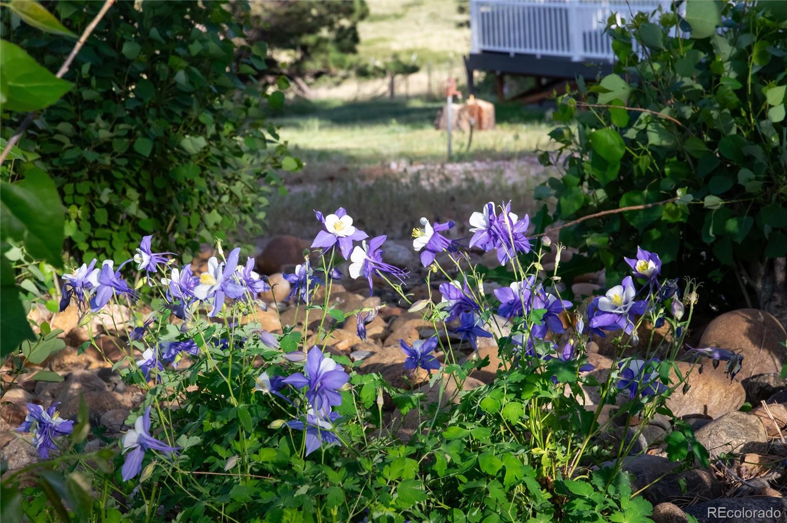 MLS Image #46 for 34274  wolf creek trail,kiowa, Colorado