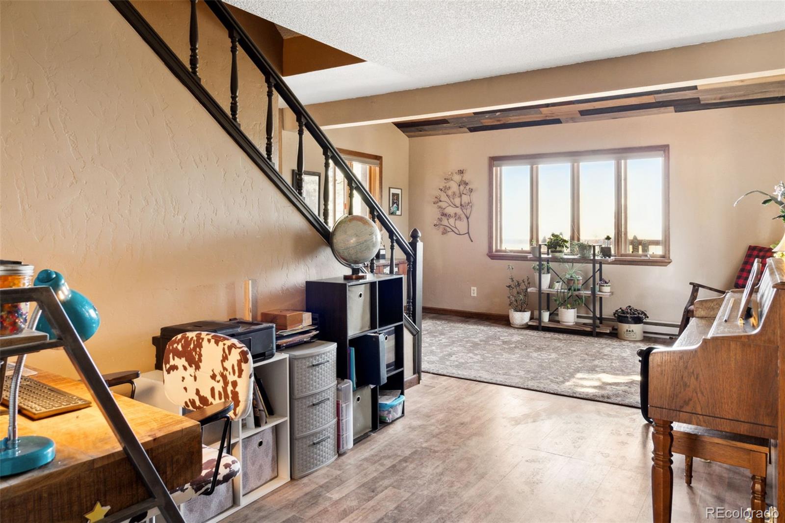 MLS Image #13 for 96  county road 7 ,fairplay, Colorado