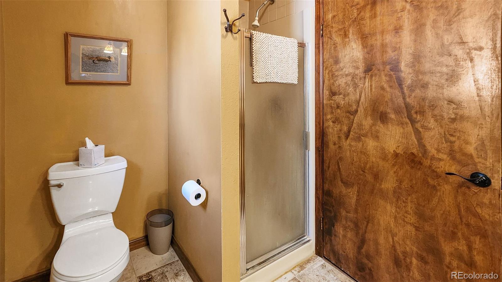MLS Image #29 for 96  county road 7 ,fairplay, Colorado