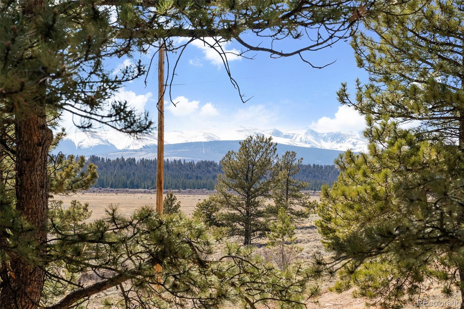 MLS Image #40 for 96  county road 7 ,fairplay, Colorado